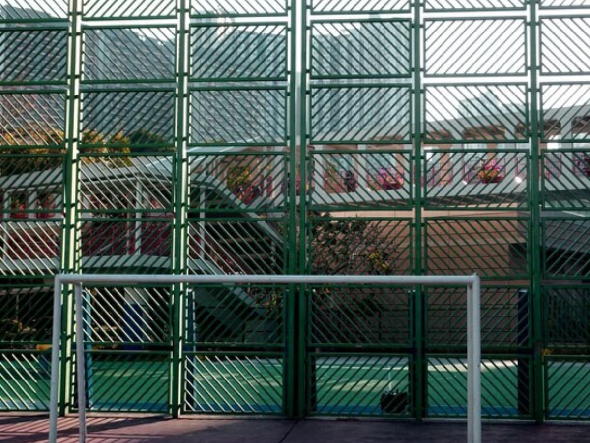Fences (3)